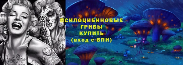 a pvp Арсеньев