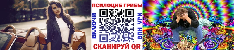 darknet наркотические препараты  Междуреченск  Псилоцибиновые грибы GOLDEN TEACHER  KRAKEN ССЫЛКА 